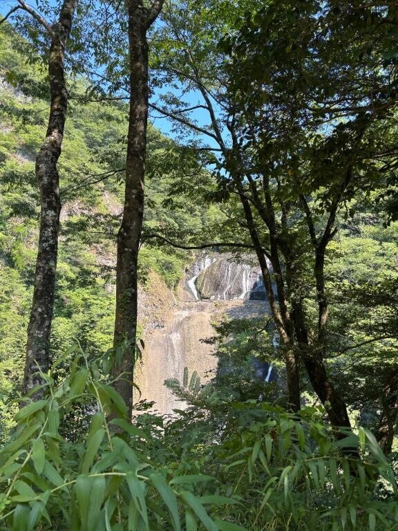 おはようございます