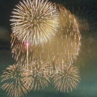 花火見れました