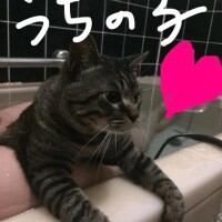 一緒に
