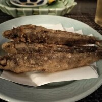 明日は