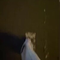 🍀雨上がりの🍀