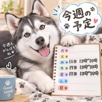 今週始まっちゃってるｹﾄﾞ...