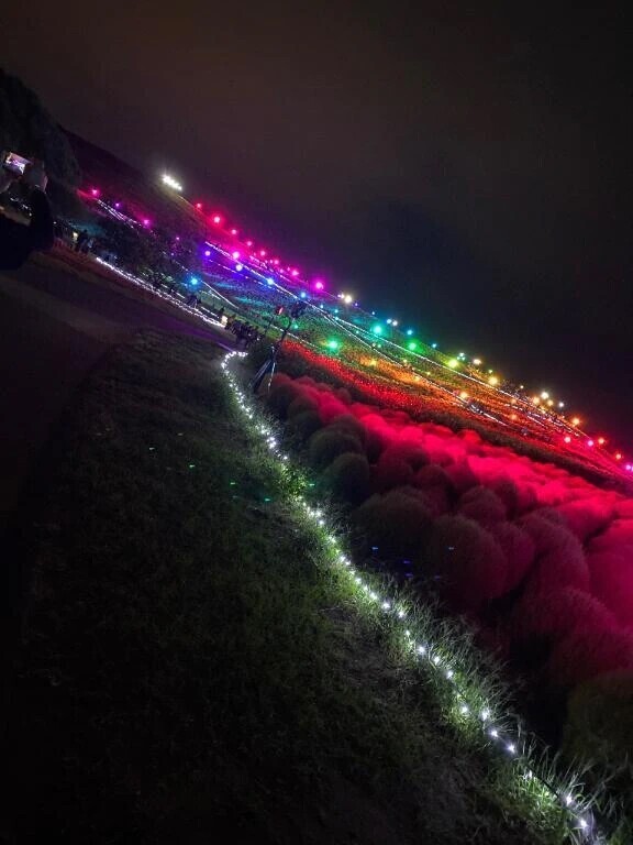 15.16.17日♥️