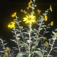 深夜の独り言