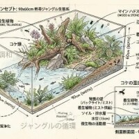 ちょっとした夢🤍