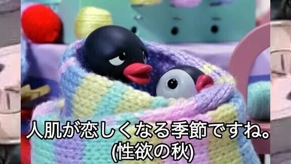 今後色々と…🫠