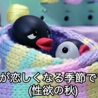 今後色々と…🫠
