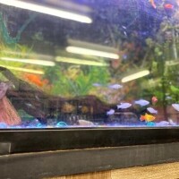 元気だけど心穏やかな1日の終わり