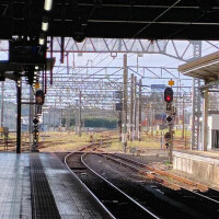 またねー！