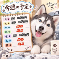 🐾今週の予定🐾