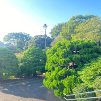 知らない世界🌎🤎