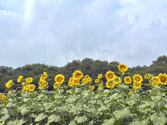 ありがとうございました︎💕︎