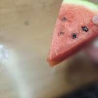 いおり