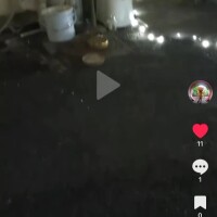 パレードに参戦しました❤️