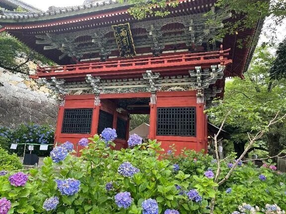 🦋おはようございます☀️🦋