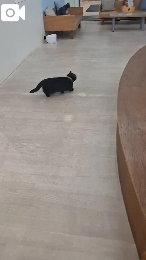 おはようございます❣️