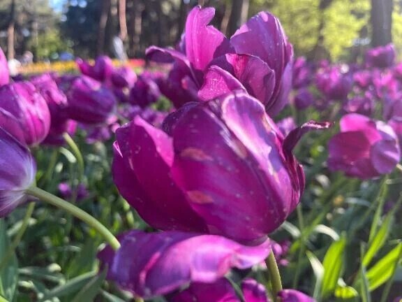 🦋おはようございます☀️🦋