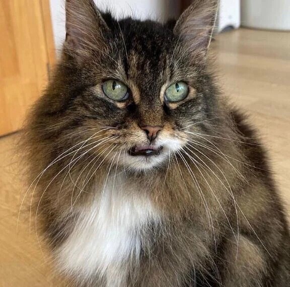 🦋出勤期間✨️🦋