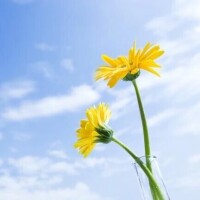 おはようございます☀️