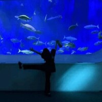 空飛んでます✈＝33