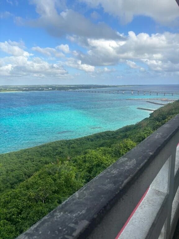 沖縄の海をお届け🌴