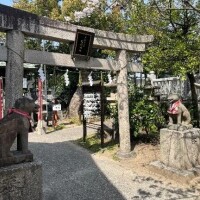 🦋皆様、おはようございます🦋