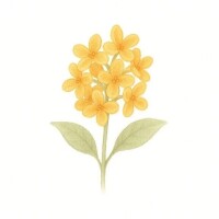 💌1/19.21お礼日記💕