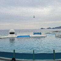 しのぶのお休みDiary。。。