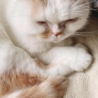 明日は一旦お休みします。。。by花粉症酷い為