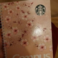 🌸の季節―姫予約についてのご報告―