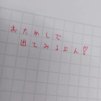お試しで
