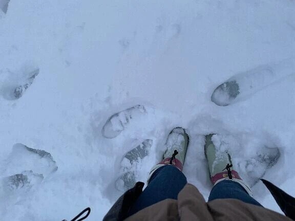 雪やこんこん🐱