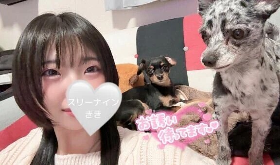 3/16-22の姫予約🌸