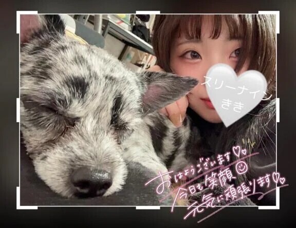 おはようございます🌸