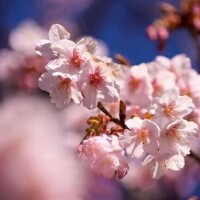 おはようございます🍀