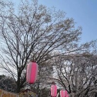 皆様はいかがお過ごしですか？。。。