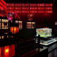 🦋おはようございます☀️🦋