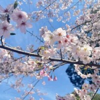 本日出勤します👍