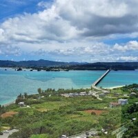 あれ？🌸終わった？とゆう件