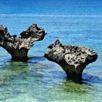 癒された💜‪(​ *´꒳`*​)