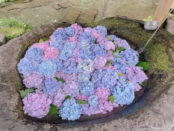 ありがとう