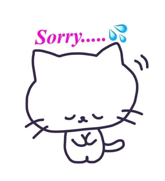 今日と明日！