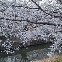 とあ