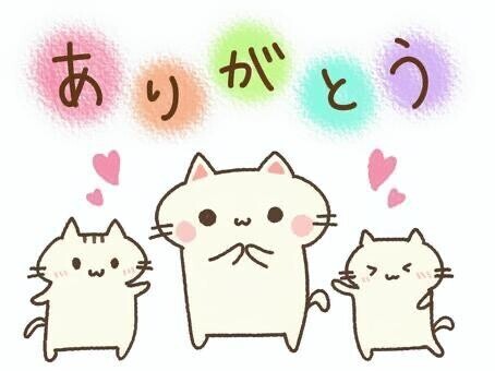 ありがとうございました(〃ω〃)?