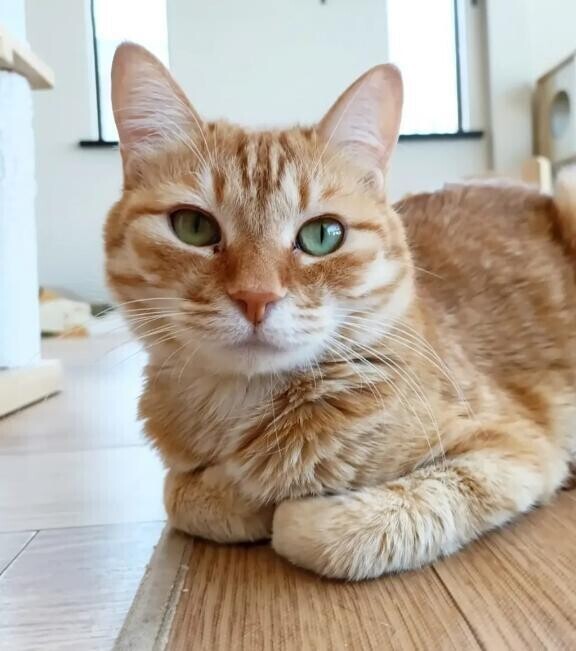 るんるんカレンです🧸🌟