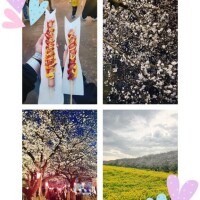 𓂃🌸𓈒𓏸