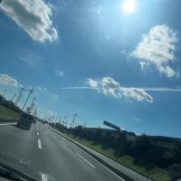 せな