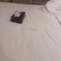 お礼…💕週ラスト19時半〜