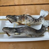 気まぐれ一言日記
