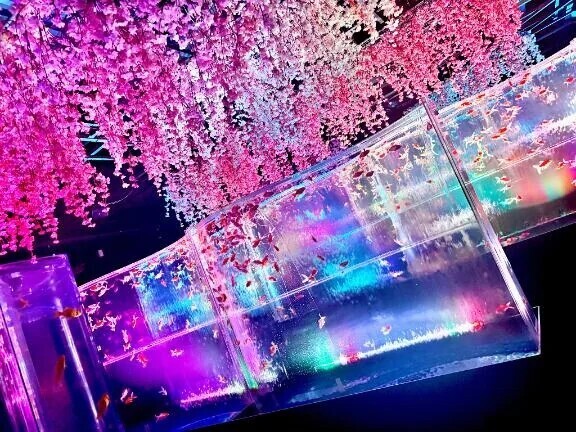 4/16 デート👫💗